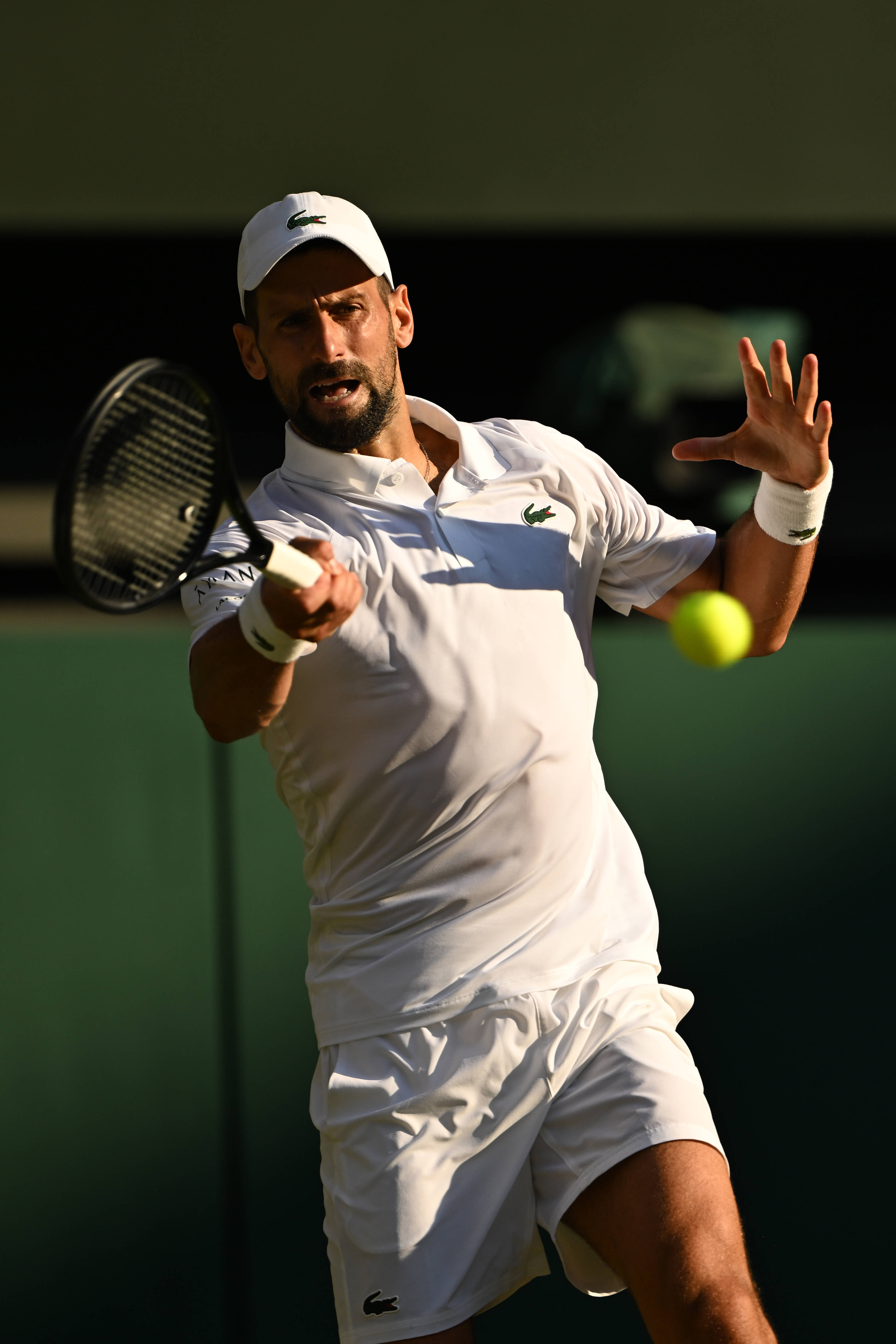 ATP总决赛碾压温网，辛纳惊艳四座