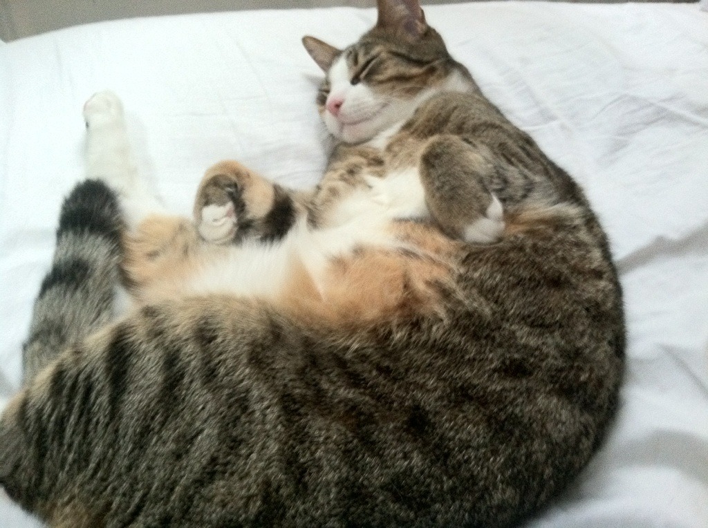 巴塞罗那之魂的凯旋,巴尔韦德在罗马血战证明何为关键先生