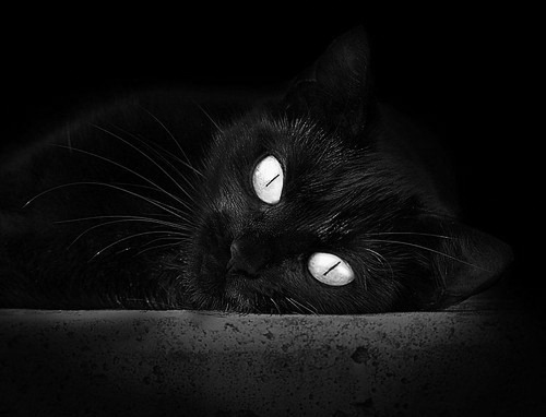 卡塞米罗的时空帽子戏法,当巴西铁腰主宰英突之战