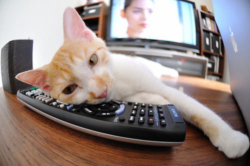 京多安闪光难救主，巴黎式节奏窒息德国战车