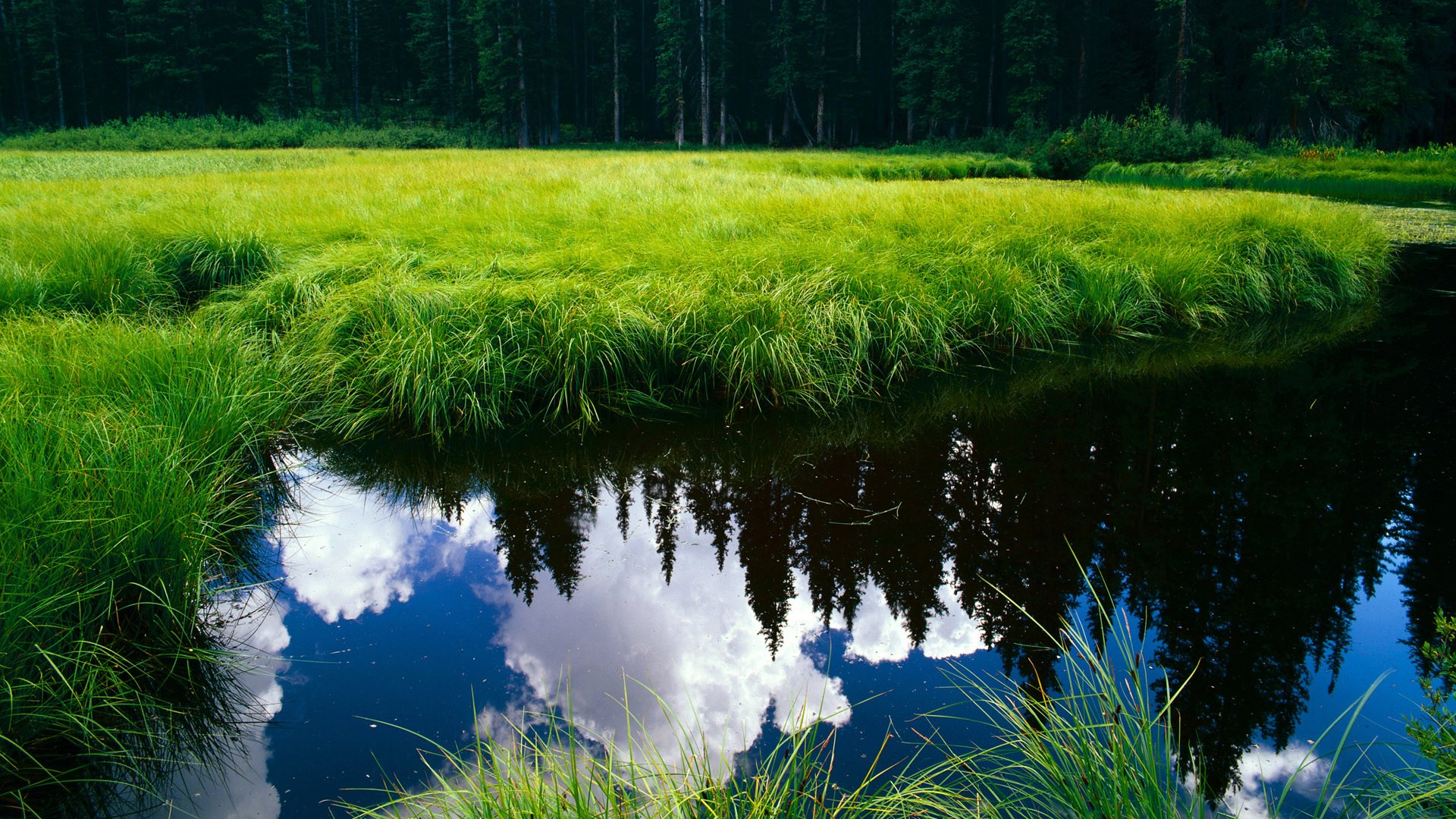 从阴霾到荣耀，格列兹曼如何在对阵爱尔兰中完成自我救赎