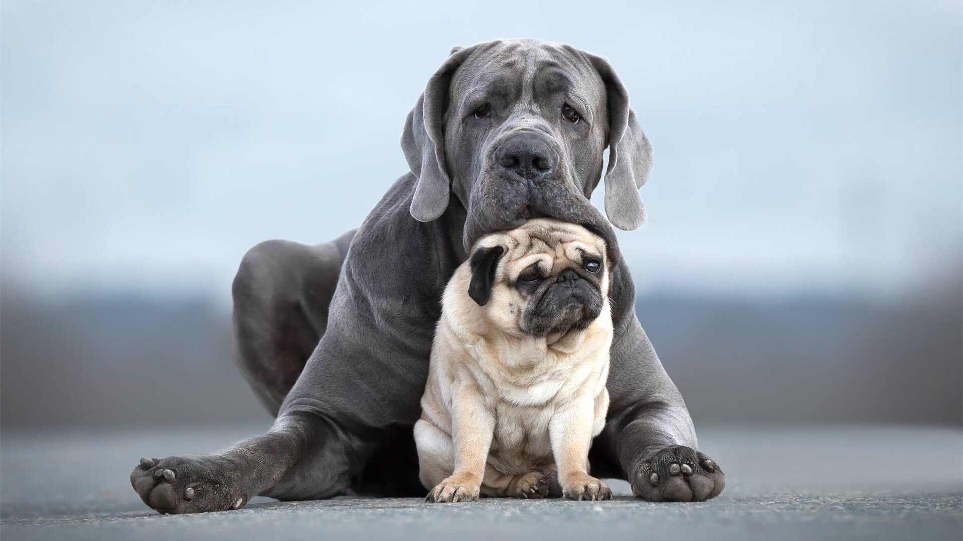 暗度陈仓，深圳队掀翻热火之夜，东契奇在西部决赛生死战接管比赛