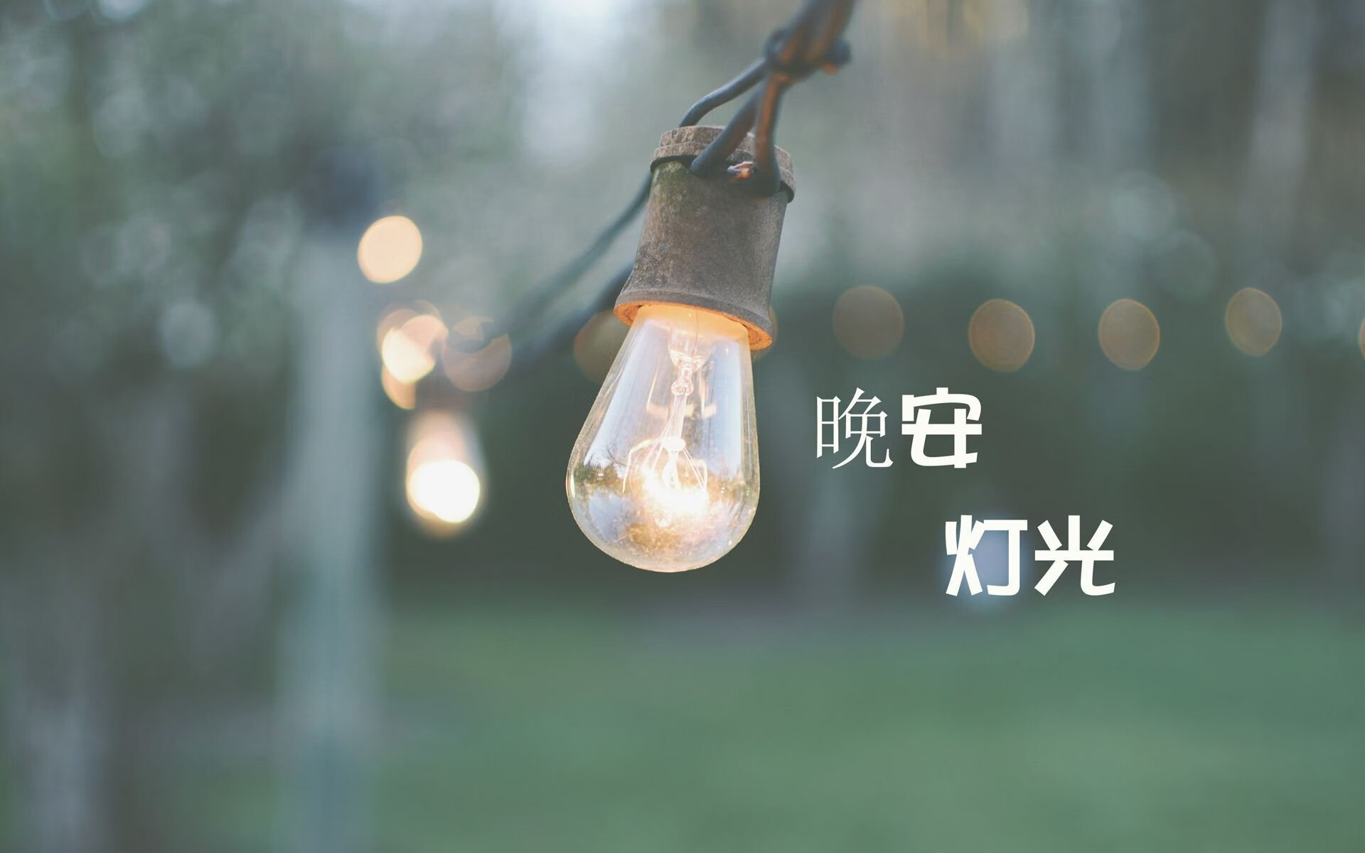 潘帕斯雄鹰的安第斯悲歌,与一个法兰西孤勇者的加冕礼,2026世界杯C组那场被历史篡改的绝唱